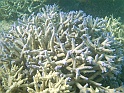 CIMG5958