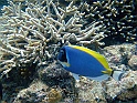 CIMG6023