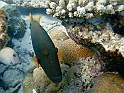 CIMG6035