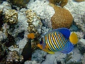 CIMG6057