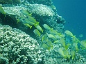 CIMG7093