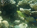 CIMG7123