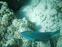 CIMG7151