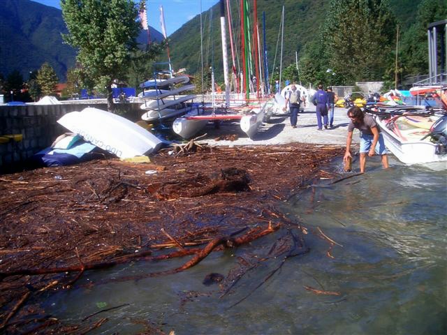 CIMG7900.JPG - Manchmal ist es wirklich lästig, dass Holz schwimmt...