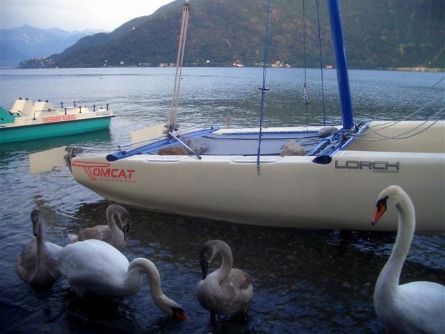 CIMG7916.JPG