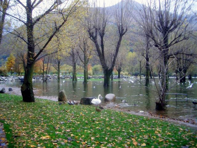 CIMG8974.JPG - Die Liegewiese schimmert stellenweise noch durch...