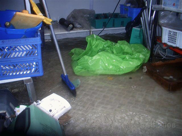 CIMG9005.JPG