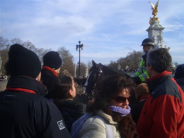 CIMG5250.JPG