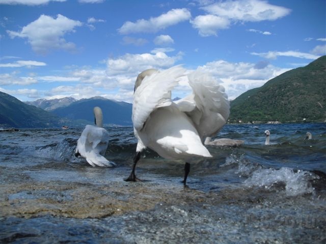 CIMG8519.JPG