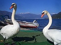 CIMG2545