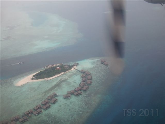 CIMG6650.JPG