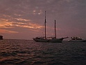 CIMG6719