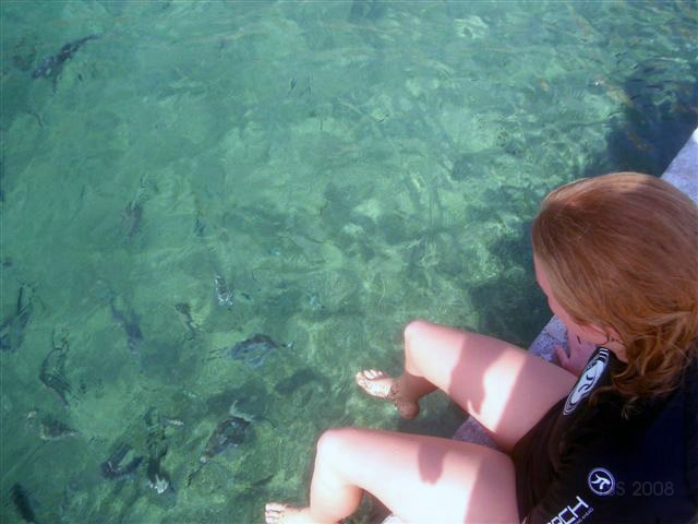 CIMG8438.JPG - Piranha-Fütterung...