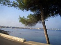 CIMG8375