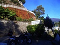 CIMG8550