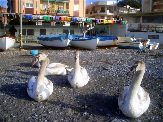 CIMG0186.JPG