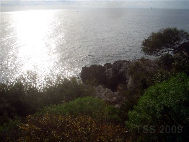 CIMG0223.JPG