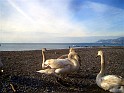 CIMG0188