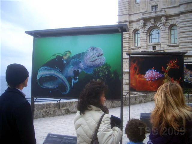 CIMG0044.JPG