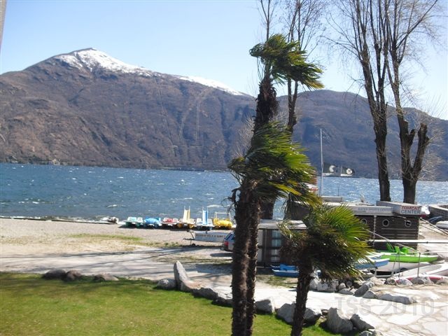 CIMG6338.JPG
