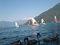 CIMG1445