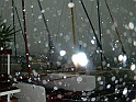 CIMG1531