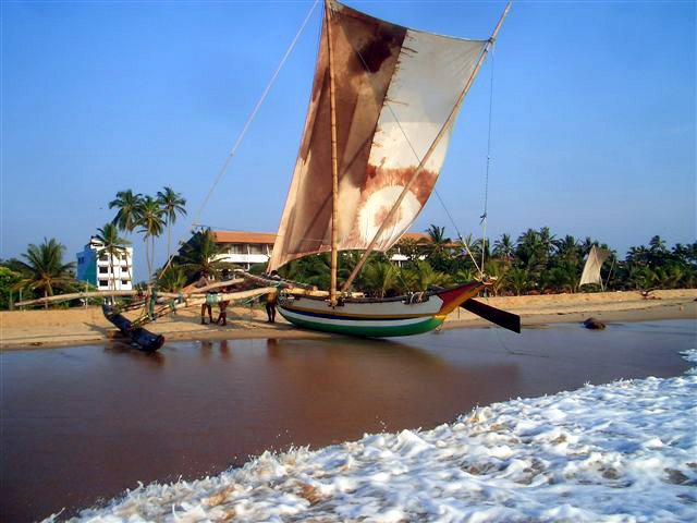 Zu Gast auf Sri Lanka 2007...
