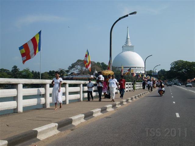 CIMG8246.JPG