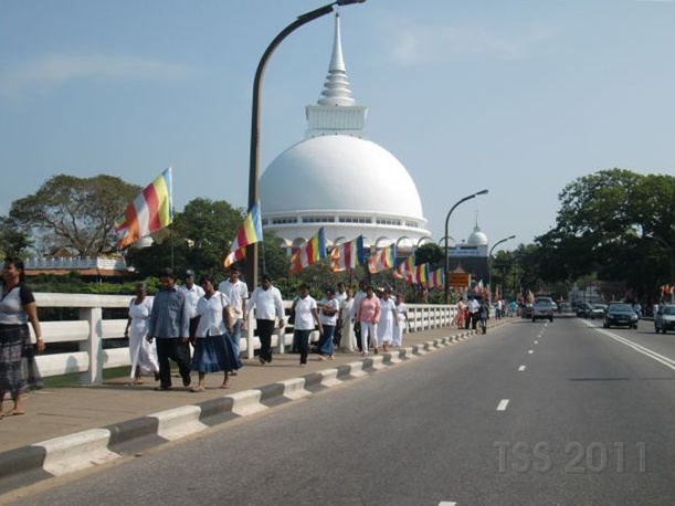 CIMG8247.JPG