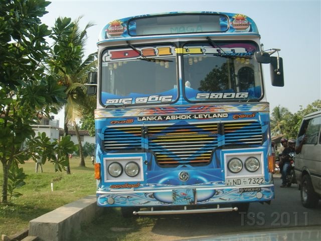 CIMG8252.JPG