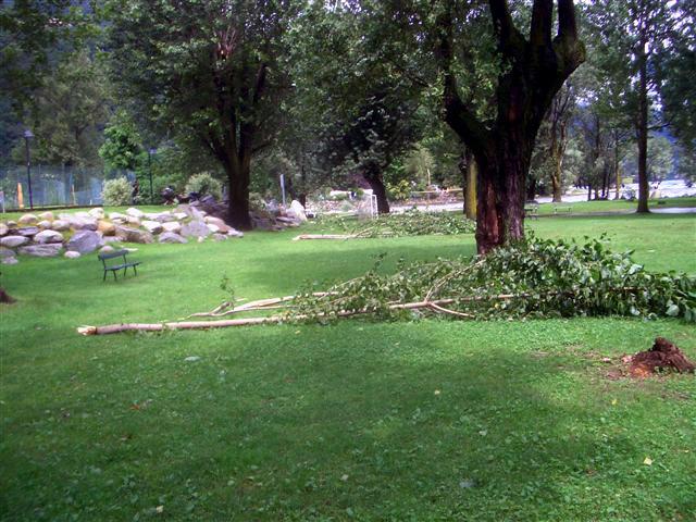 CIMG7337.JPG