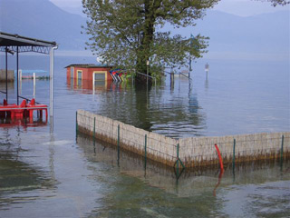Lago 2004