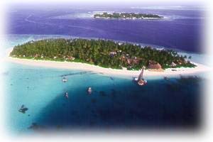 Vilu Reef